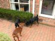 The three boys.