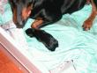 Kira with her first born. She was born at 3:05pm. Here she is 15 minutes old.