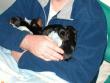 Cuddles from Chris.