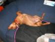 It is difficult to get some good rest.