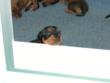 I can see over
