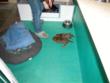 Changing our bedding