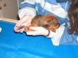 Nail clipping time
