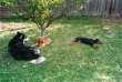 Kira & Friends at Lena's place