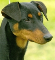 Kira