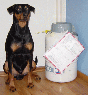 Nero sitting next to the canister of his semen.